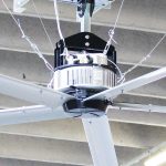 gorilla_hvls_03 gorilla_hvls_03