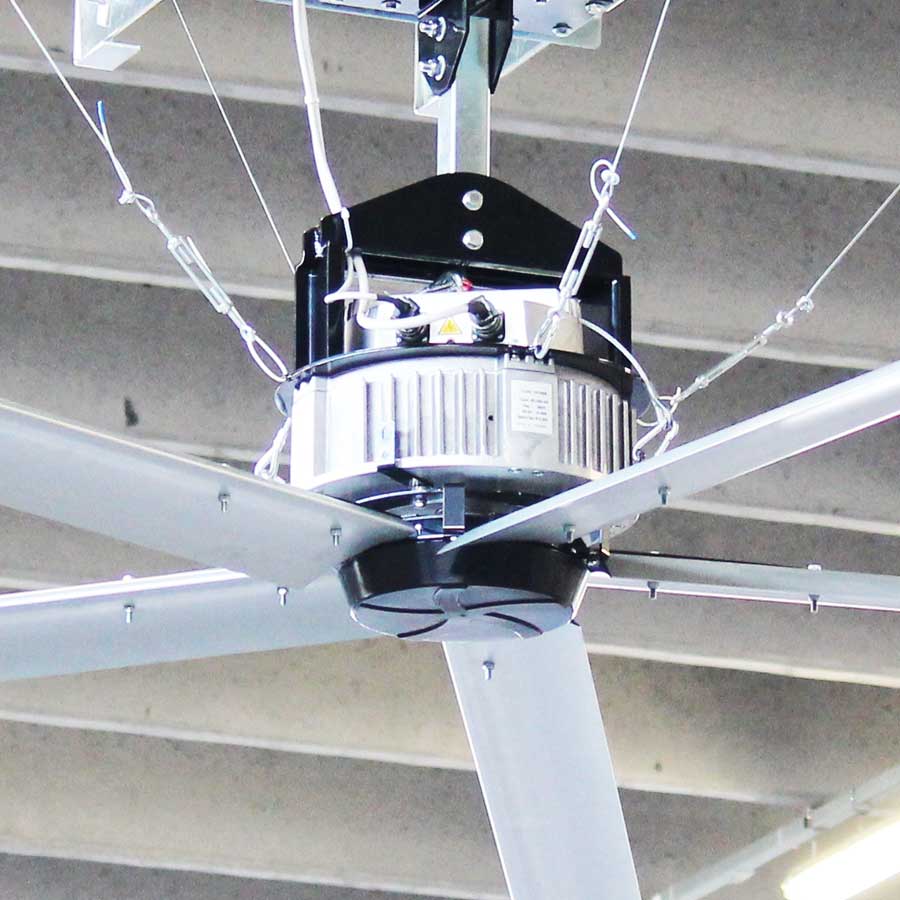 gorilla_hvls_03