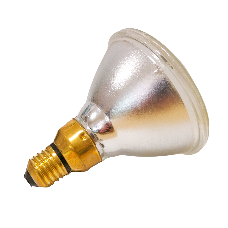 Kerbl_bulb_03