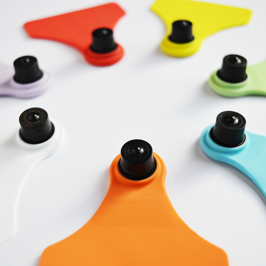 Allflex_tag_female_medium_02