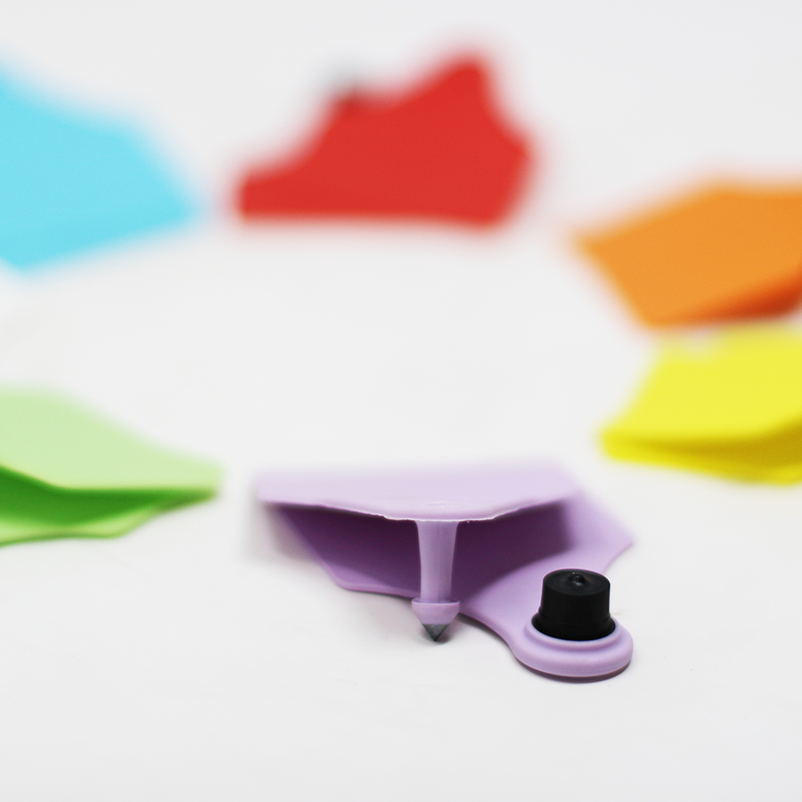 Allflex_tag_large_05