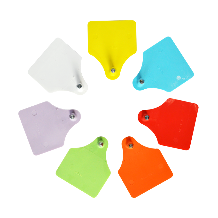 Allflex_tag_male_large_01