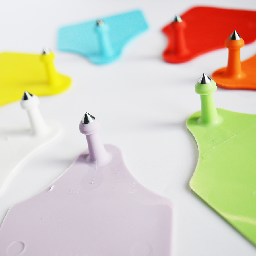 Allflex_tag_male_large_02