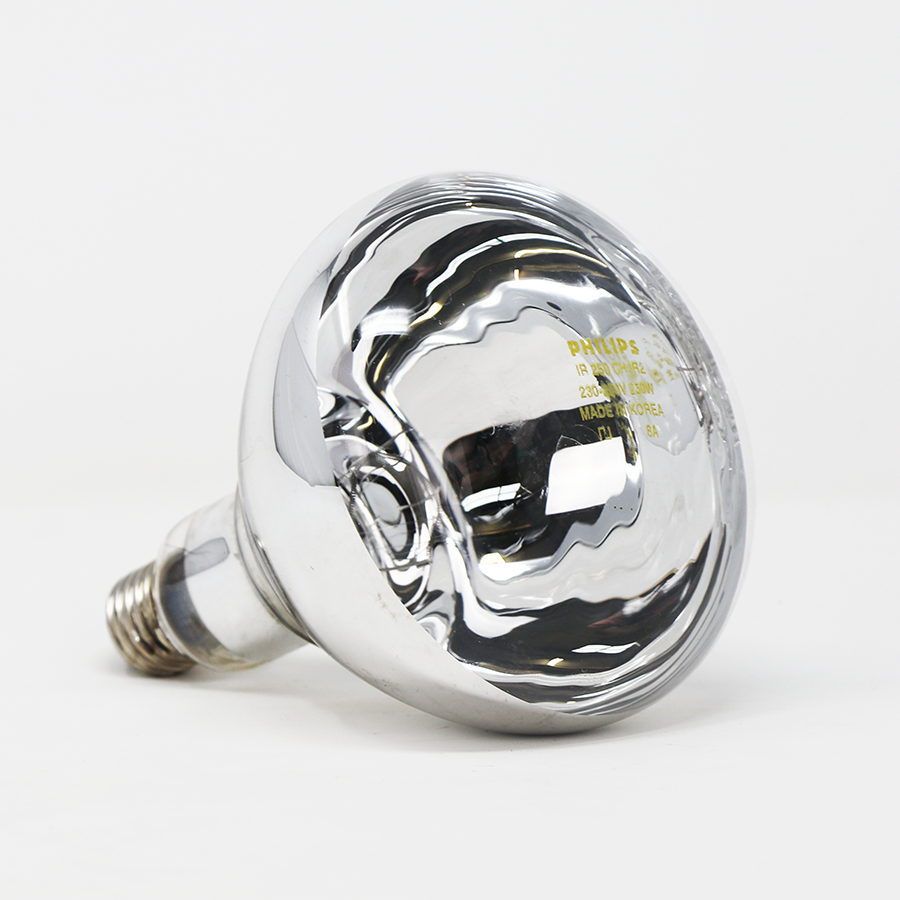 Phillips_hard_glass_clear_lamp_250w_02