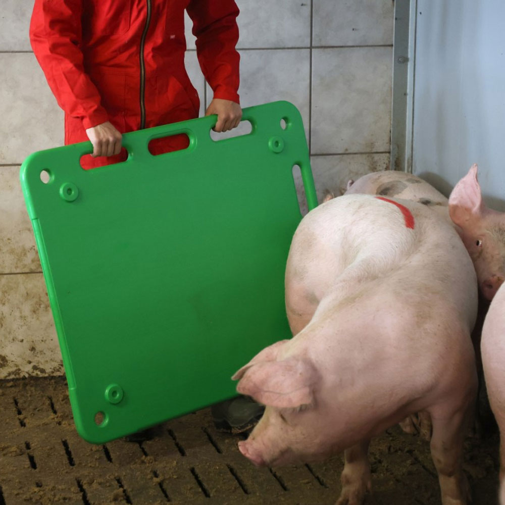 pig-driving-board-green