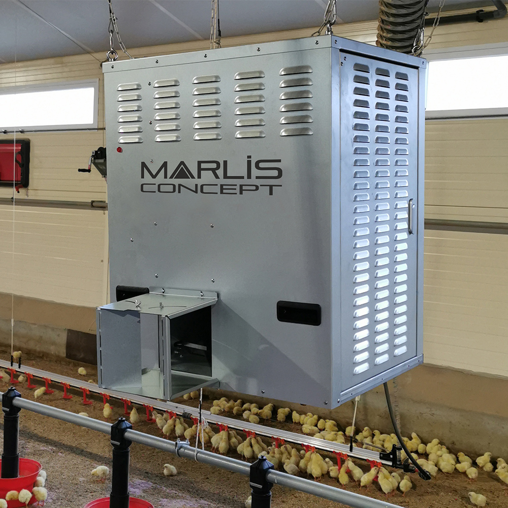 box heater in poultry chick shed